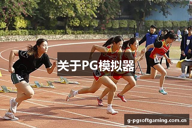 关于PG模拟器